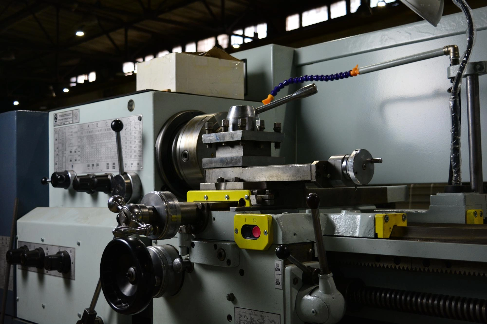 Наши новые друзья Наши новые друзья